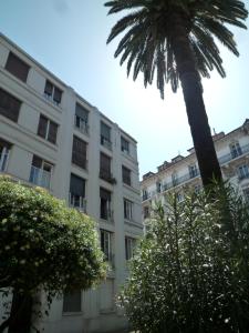 尼斯尼斯公寓的一座大建筑前的棕榈树