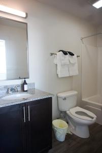 巴吞鲁日Entire High-Rise Apartment - 2BD的一间带卫生间、水槽和镜子的浴室
