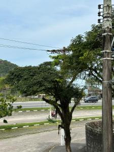 乌巴图巴Pousada Suíte Verde Mar的树在一条街道旁的树上,在一根杆旁边