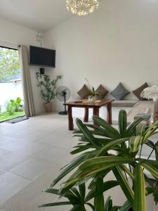 爱妮岛Rvilla El Nido的带沙发和盆栽植物的客厅