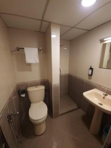 关丹Go Lodge Hotel Kuantan的一间带卫生间和水槽的浴室