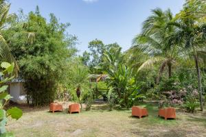 别克斯Vieques Tropical Guest House的花园设有橘子椅和棕榈树