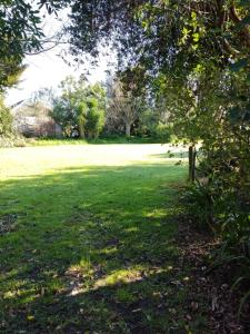 WairoaThe Frasertown Tavern的远处有绿草树木的公园