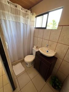 托尔图格罗Tortuguero Hill Rooms的一间带卫生间、水槽和窗户的浴室