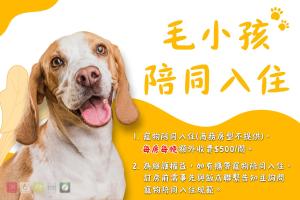 新竹168新竹馆的一只狗的舌头的照片