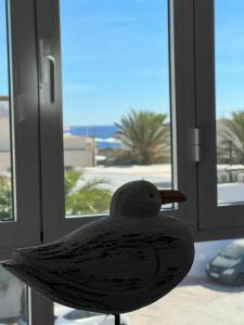 拉伊斯莱塔德尔摩洛Isleta 5的坐在窗前的纸鸟