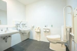东京MYSTAYS 滨松町酒店的一间带卫生间和水槽的浴室