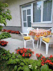 索科矿泉村Pavicevic的天井上的桌椅和鲜花