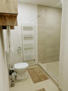彼得罗沙尼Flat in Petrosani的一间带卫生间和淋浴的浴室