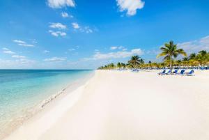 自由港市Viva Fortuna Beach by Wyndham, A Trademark All Inclusive的棕榈树和椅子的海滩和大海