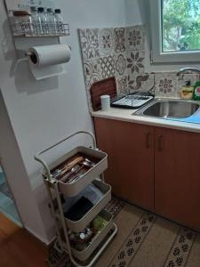 科斯镇New studio in the city!的一个带水槽和小车的小厨房