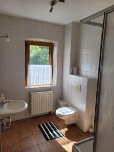 霍恩斯泰因Einkehr zur Rennstrecke的一间带卫生间、水槽和窗户的浴室