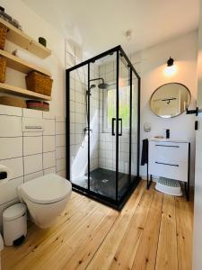 莫雷泰Namelis Strazdas的一间带玻璃淋浴和卫生间的浴室
