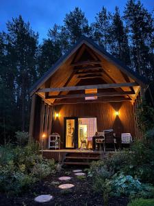 莫雷泰Namelis Strazdas的夜间树林里的一个小屋,门打开
