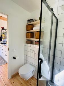 莫雷泰Namelis Strazdas的一间带卫生间和淋浴的浴室