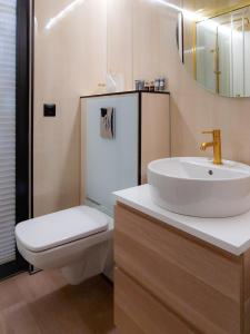 比得哥什Dom na wodzie LaMare Modern 14的一间带水槽、卫生间和镜子的浴室