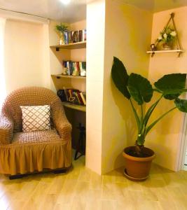库塔伊西Apartment 19的椅子和室内盆栽