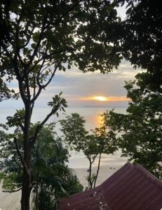 俊穆岛林山海简易别墅的日落时分透过树林欣赏海景