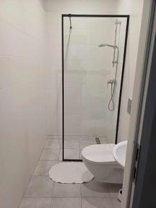 马斯洛阿麦里奥卡酒店的带淋浴、卫生间和盥洗盆的浴室