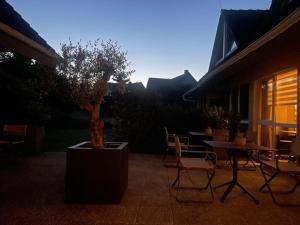 新勃兰登堡布朗达兰德酒店的坐在带桌椅的庭院里的盆子树