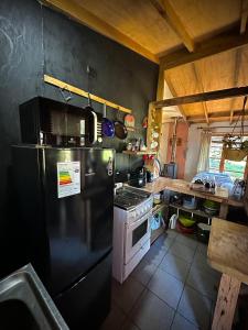 拉纳尔韦湖Cabaña frente al Lago Lanalhue的厨房配有黑色冰箱和炉灶。
