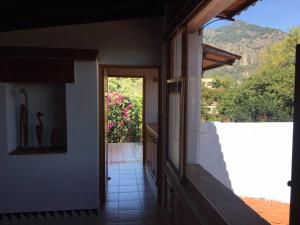 迪坡斯特兰Acogedora Villa con alberca climatizada en el centro de Tepoztlán的门廊,花朵