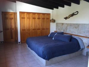 迪坡斯特兰Acogedora Villa con alberca climatizada en el centro de Tepoztlán的一间卧室设有蓝色的床和木门