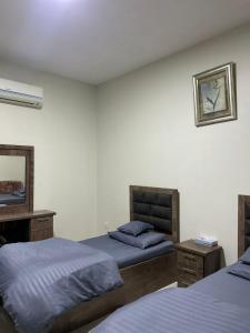 利雅德Riyadh Salman Villa فيلا的一间卧室配有两张床和镜子