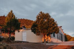 阿特阿加Pinitos Ranch Country House的一座白色的建筑,有门和两棵树