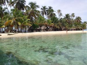 NusatupoMares gunayarIslas的棕榈树和水的海滩