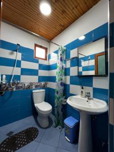 培拉特Guesthouse Emiljano的蓝色和白色的浴室设有卫生间和水槽
