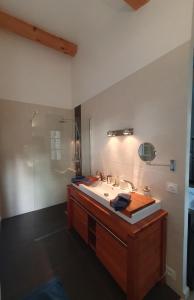 普罗旺斯艾克斯Lou Pantai, Bed and Breakfast, Delux Bedroom的一间带水槽和淋浴的浴室