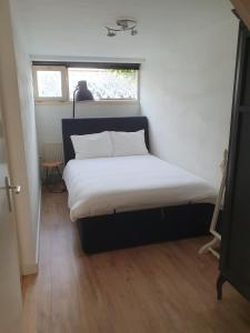 滨海卡特韦克't Hoekhuisje的一个小房间的一个床位,设有窗户