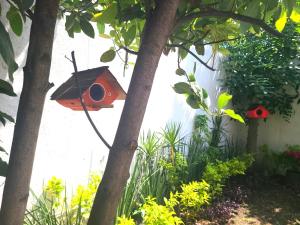 库埃纳瓦卡Hermosa casa en Cuernavaca cerca de los mejores restaurantes y plazas的花园中挂在树上的鸟屋