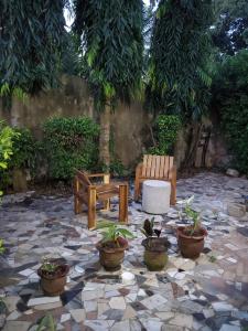 OuidahAu cœur de Ouidah的石头地上种有长椅和盆栽的庭院