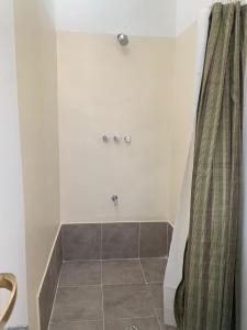 乌玛瓦卡Buena Vista Hostel的带淋浴和浴帘的浴室