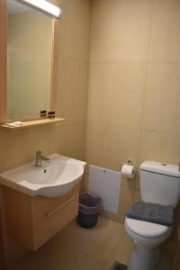 卡梅纳维洛拉Hotel Ritsa的一间带水槽、卫生间和镜子的浴室
