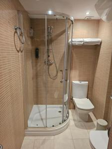 马塔罗Mataro Luxury Apartments的带淋浴和卫生间的浴室