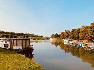 TanlayL'Amazone - bateau à quai sur le canal de bourgogne的一群船停靠在河上