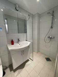 拉尔维克Larvik appartment in the city的白色的浴室设有水槽和淋浴。