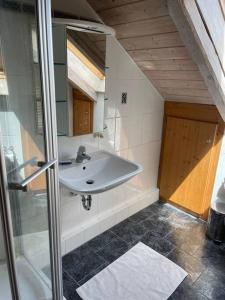 海罗德堡sonnig wohnen in Heroldsberg的一间带水槽、镜子和淋浴的浴室