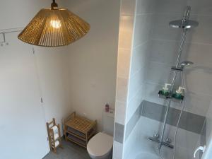 圣纳泽尔Villa des Cerisiers的带淋浴、卫生间和灯的浴室
