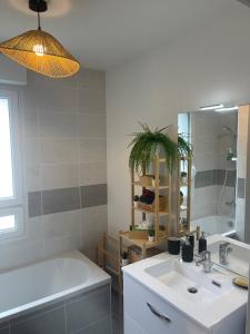 圣纳泽尔Villa des Cerisiers的一间带水槽、浴缸和镜子的浴室