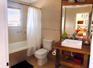 Lago Viedma拉埃斯泰拉庄园民宿的一间带卫生间、水槽和镜子的浴室