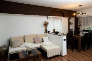 德罗贝塔-塞维林堡Apartament CENTRAL 1的客厅配有沙发和桌子