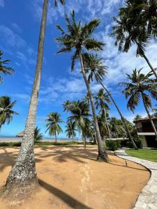 雅帕拉廷加比特恩吉尔帕亚酒店的沙滩上的棕榈树