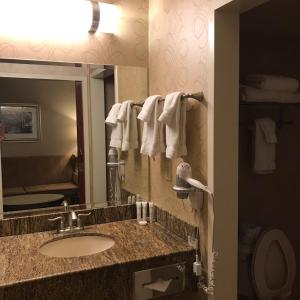 拉斯维加斯Comfy Unit at Orleans Casino Strip Las Vegas的一间带水槽和镜子的浴室