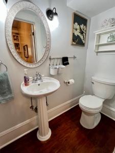 圣安东尼奥Brackenridge House Bed and Breakfast的一间带水槽、卫生间和镜子的浴室