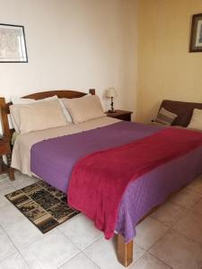 科洛尼亚-德尔萨克拉门托特里萨旅馆的一间卧室配有一张大床,配有红色和紫色的毯子
