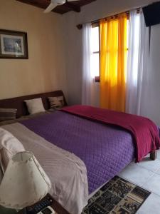 科洛尼亚-德尔萨克拉门托特里萨旅馆的一间卧室设有紫色的床和窗户
